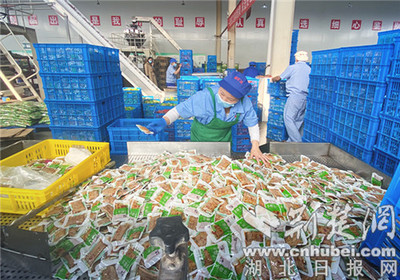 石牌食品烹制小食品"湖北味道"