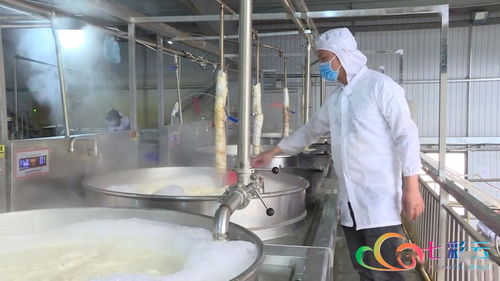 爆浆豆腐走红 红河石屏一季度实现豆制品产值7.5亿元