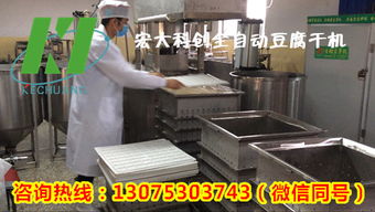 安庆小型豆制品加工设备,生产豆腐干的机器哪有卖,宏大豆干机好用吗