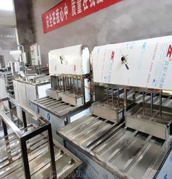 福州大型全自动豆腐机生产设备 生产七彩豆腐花生豆腐的机器